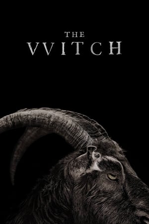 The Witch (2015)